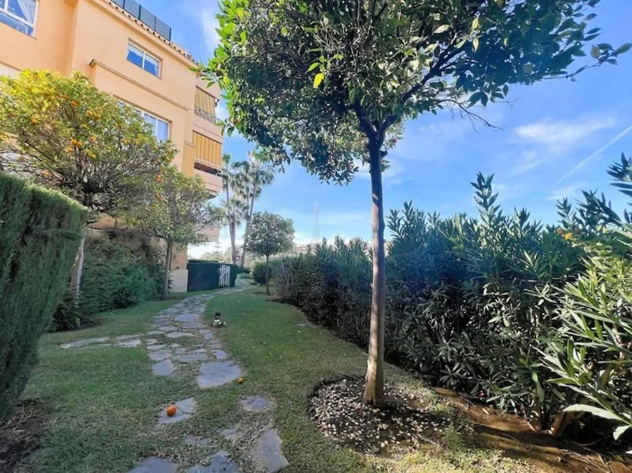 Dona Paquita Apartment Malaga